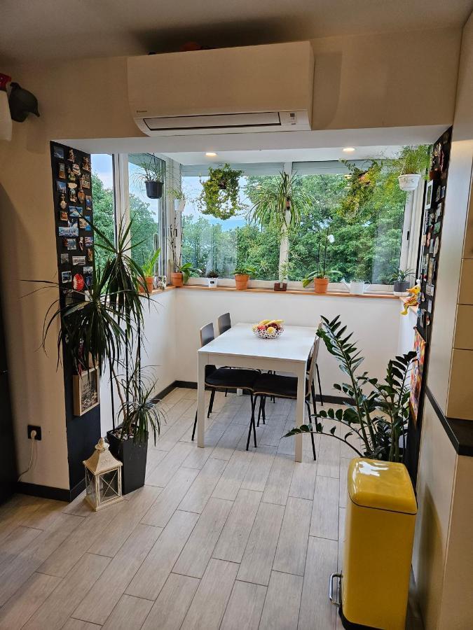 Apartman Carnevalus Rijeka Exteriér fotografie